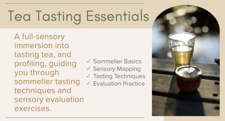 Tea Tasting Essentials