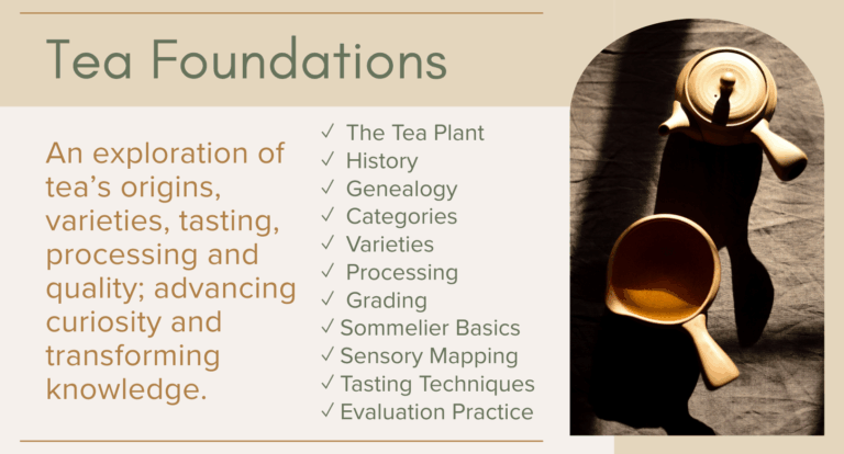 Tea Foundations